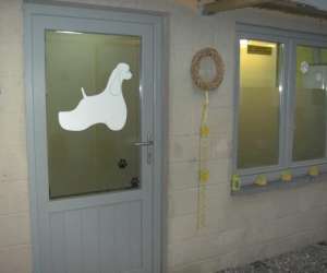   Le Salon De Granny    -   Toilettage Canin Toutes Rac