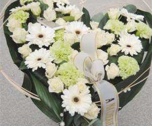 photo Jardiflor sprl Marche-en-famenne 5143
