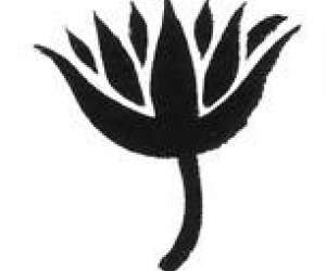 photo Massage psychosensoriel Lige 5477