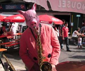 photo Orchestre maddox - animation musicale Herve 5245