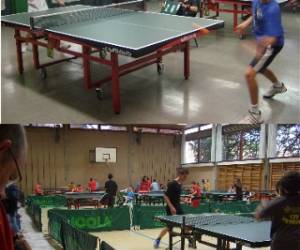 Tennis De Table De Carouge