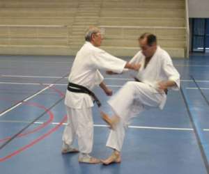 photo Karate-do shotokai basel Basel 2470