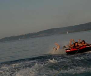 photo Aloc - boat location pedalos - bateaux -banana Yverdon-les-bains 1 363