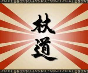 photo Joshin dojo Basel 846