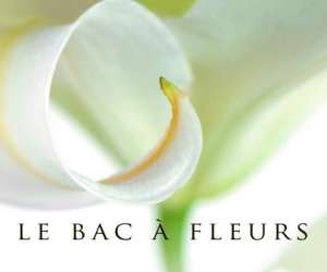 Le Bac  Fleurs Fleuriste