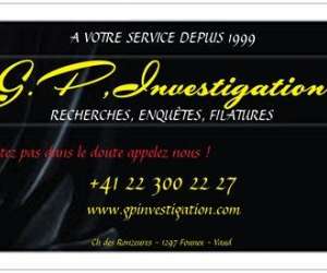 Detective Prive G.p,investigation