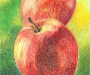 photo Atelier art & cration -  cours de dessins Fully 670