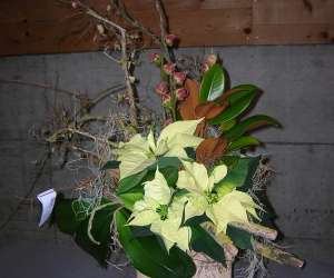 photo C'est le bouquet ! fleuriste vevey Vevey 700