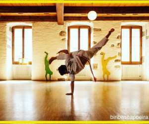 photo Association biribas capoeira Lausanne 3483