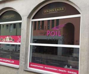 photo Pilepoil.ch la boutique Orbe 952