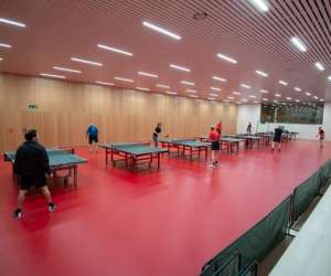 Tennis De Table  Carouge