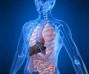 Body Dynamic - Praxis Osteopathie Body Dynamic - Praxis Osteopathie