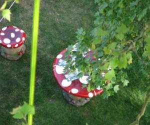 photo Canope enchante Fondettes 2594
