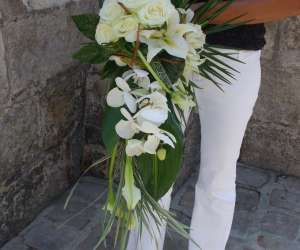 photo Cap'flore Dreux 5421