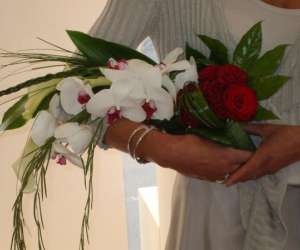 photo Cap'flore Dreux 5422