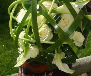 photo Cap'flore Dreux 5423