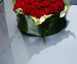 photo Cap'flore Dreux 5418
