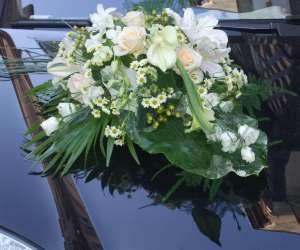 photo Cap'flore Dreux 5419