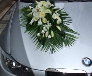 photo Cap'flore Dreux 5420