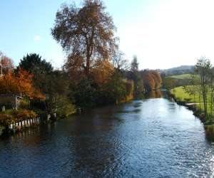 photo Au clair de l'huisne Nogent Le Rotrou 2406