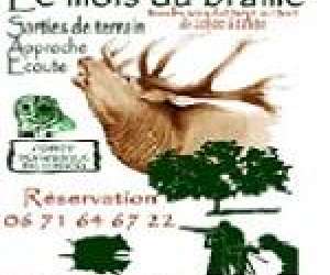 photo Loire vélo nature Brehemont 4178