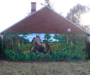 photo Disk-aerosol St Doulchard 2648