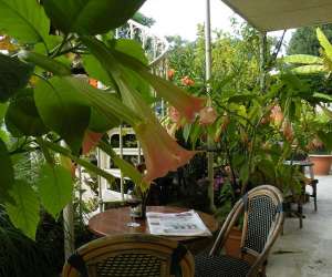 photo Hotel diderot Chinon 4819