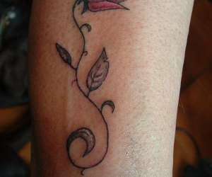 photo Sulacco tattoo Orleans 2760
