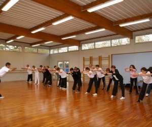photo Association uso taichi chuan et qi gong Orleans 2850