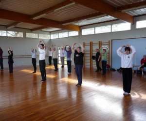photo Association uso taichi chuan et qi gong Orleans 5509