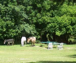 photo Gite d'enfants Chevannes 2877