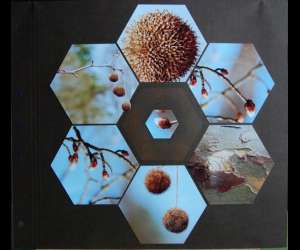 photo Atelier de scrapbooking Orleans 4148