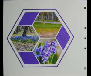 photo Atelier de scrapbooking Orleans 4153