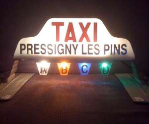 photo Taxi chesnoy Solterre 3798