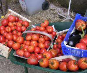 photo Le panier des singeons Chantecoq 3830