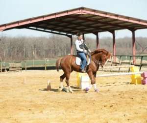 photo Poney-club de la bigonniere Cangey 3873