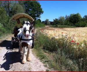 photo Les calches de saint-cyr Ouerre 5025