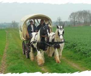 photo Les calches de saint-cyr Ouerre 5026