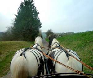 photo Les calches de saint-cyr Ouerre 5027