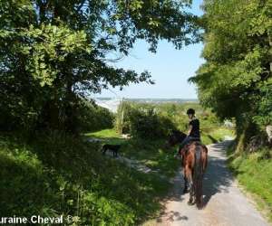 Touraine Cheval