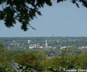 photo Touraine cheval La Chapelle Aux Naux 4351