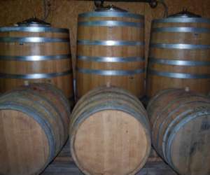 photo Domaine viticole pascal lambert Cravant Les Coteaux 4619