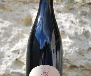 photo Domaine viticole pascal lambert Cravant Les Coteaux 4622