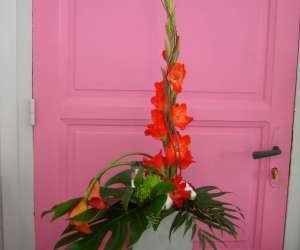 photo Entre pot et fleur Blois 4718