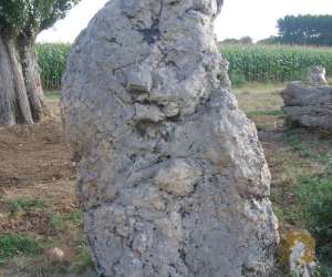 photo Ternier jean-pierre - magnetiseur - rebouteux - reflexologue  St Cyr Sur Loire 4722