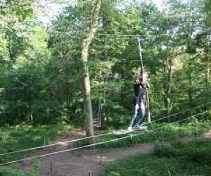 Parcours Aventure Dans Les Arbres Orleans