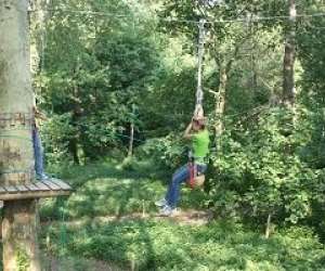 photo Parcours aventure dans les arbres orleans Orleans 4770