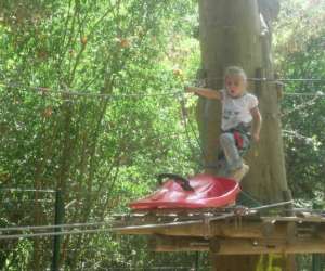 photo Parcours aventure dans les arbres orleans Orleans 4772