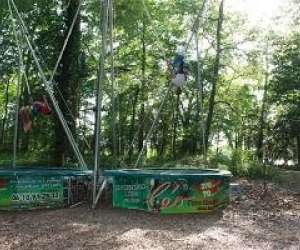 photo Parcours aventure dans les arbres orleans Orleans 4775