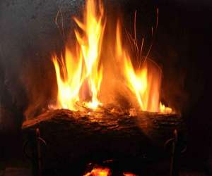 photo Domaine du ris de feu - gtes et chambres d'htes Chalais 5972